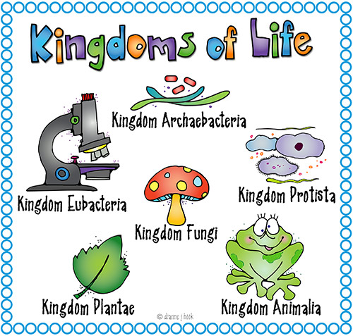 Make learning fun with Biology clip art for kids by DJ Inkers