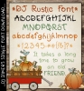 This versatile font is full of Rustic country charm by DJ Inkers